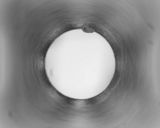 X0000115250085200911271914