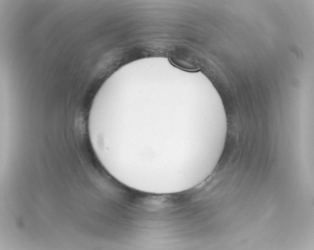 X0000115250086200911271914