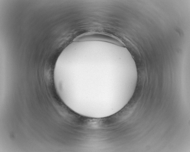 X0000115250088200911271914