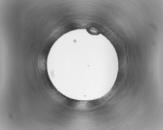 X0000115250090200911271914