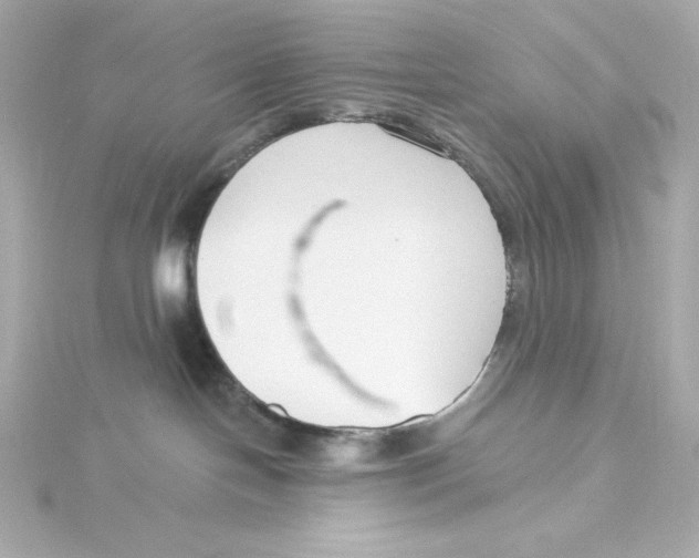 X0000115250094200911271914