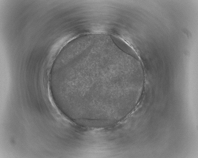 X0000115250097200911271913