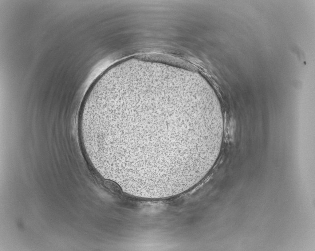 X0000115250099200911271913