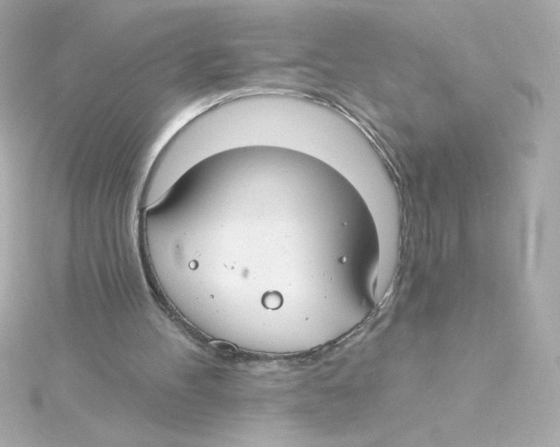 X0000115250100200911271913