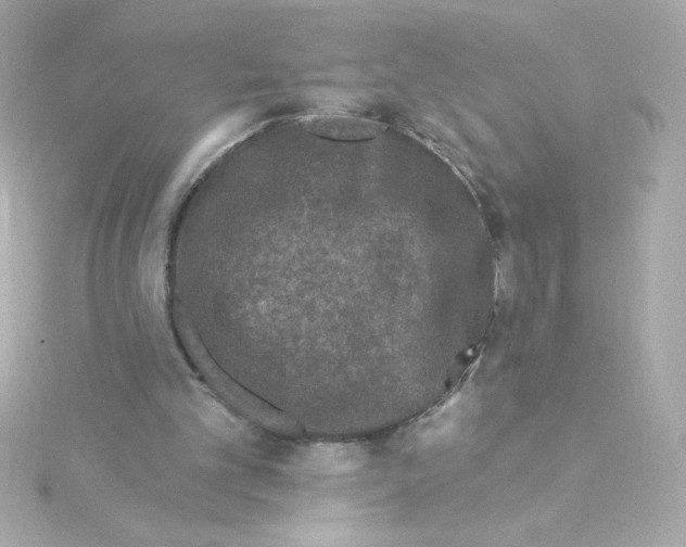 X0000115250101200911271913