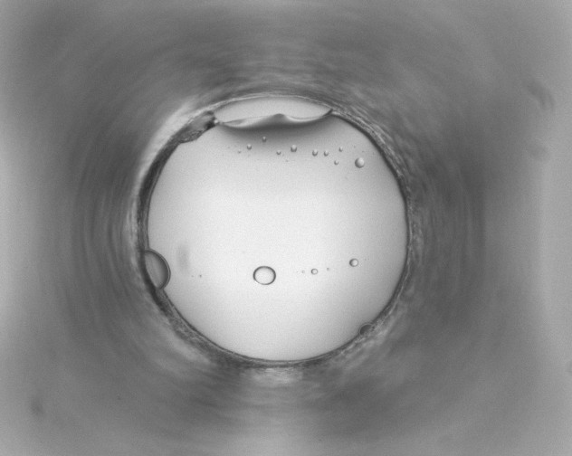 X0000115250102200911271913