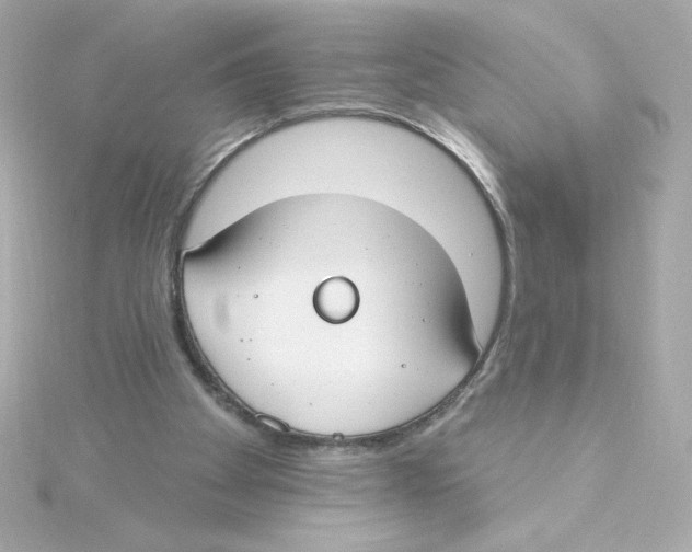 X0000115250105200911271913