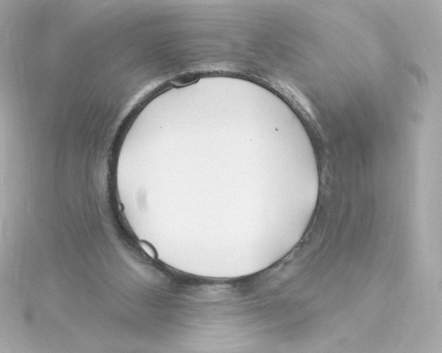 X0000115250108200911271913