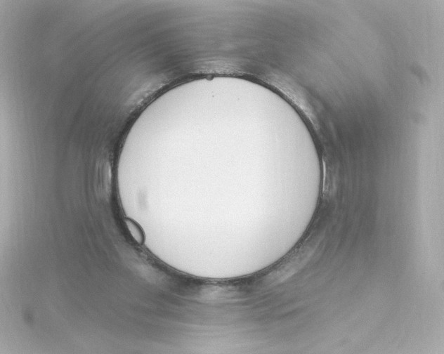 X0000115250109200911271913