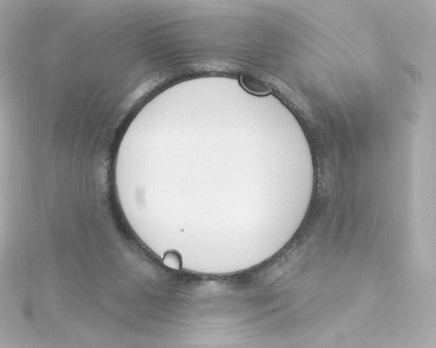 X0000115250111200911271913