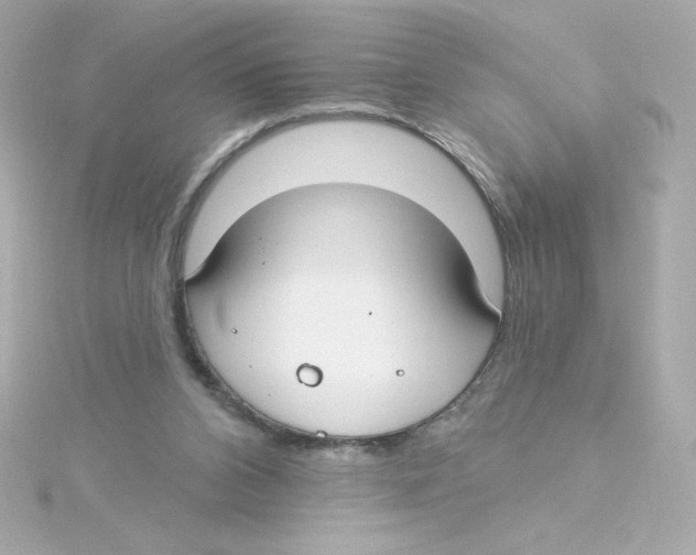 X0000115250112200911271913