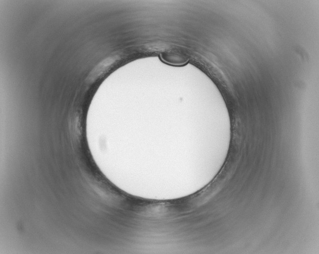 X0000115250116200911271913