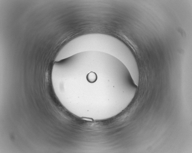 X0000115250117200911271913