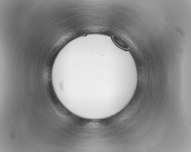 X0000115250119200911271913