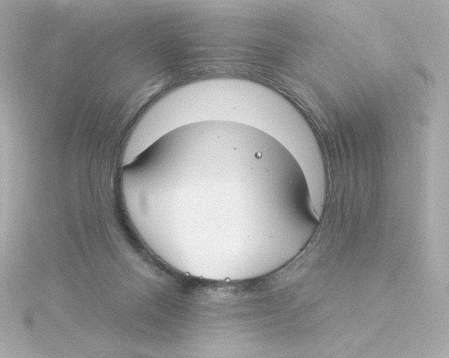 X0000115250120200911271913