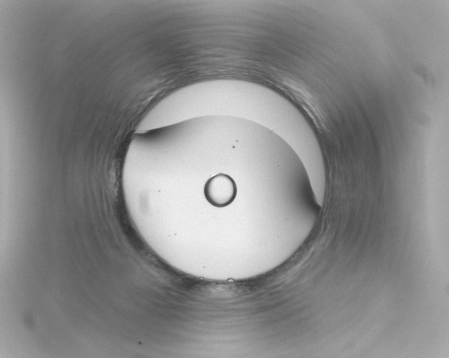 X0000115250121200911271913