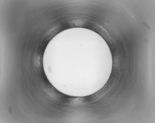 X0000115250122200911271913