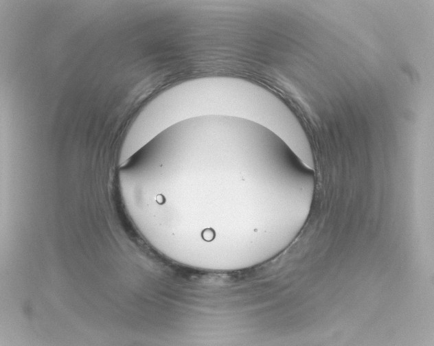 X0000115250124200911271913