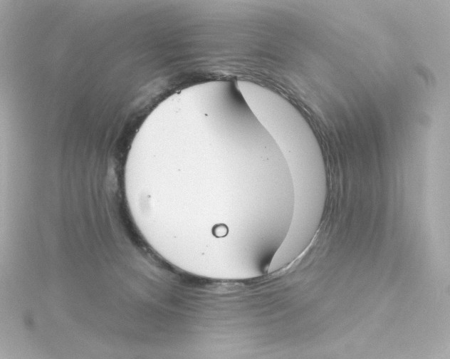 X0000115250128200911271913