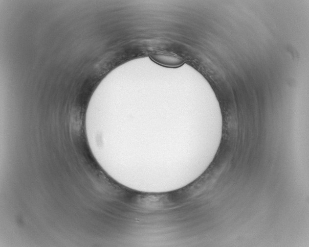 X0000115250129200911271913