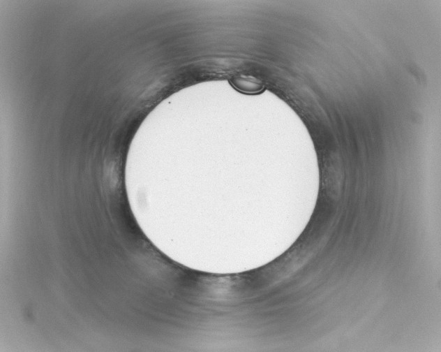 X0000115250131200911271913