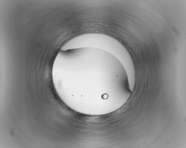 X0000115250132200911271913