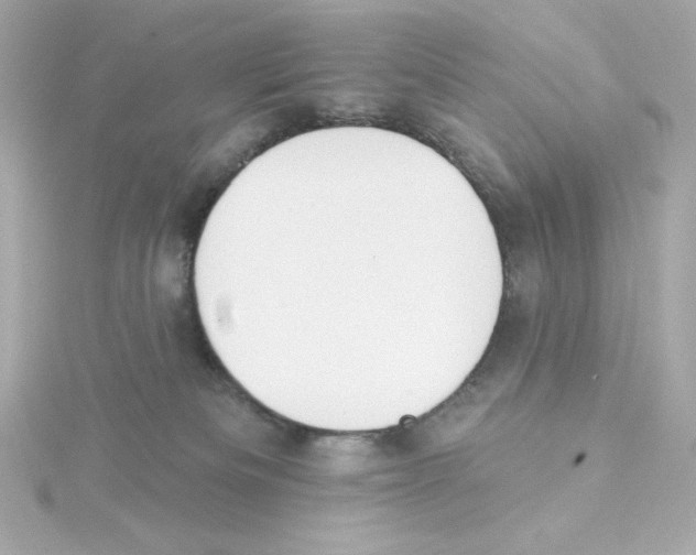 X0000115250133200911271913