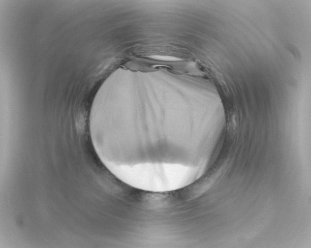 X0000115250139200911271913