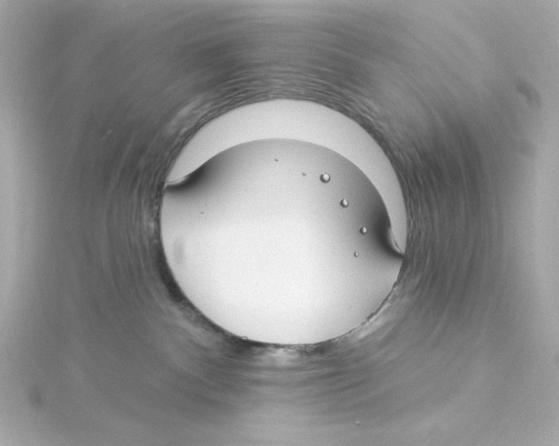 X0000115250140200911271913