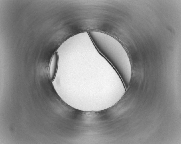 X0000115250141200911271913