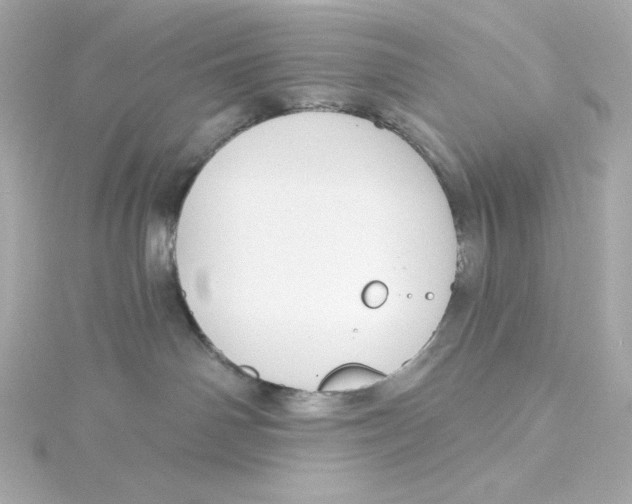 X0000115250142200911271913