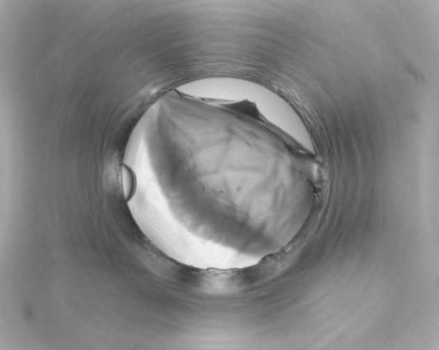 X0000115250143200911271913