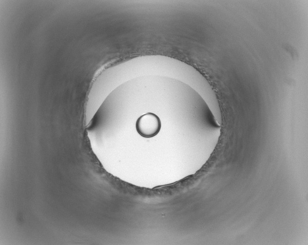 X0000115250144200911271913