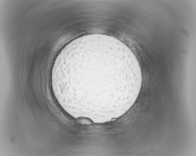 X0000115250145200911271912