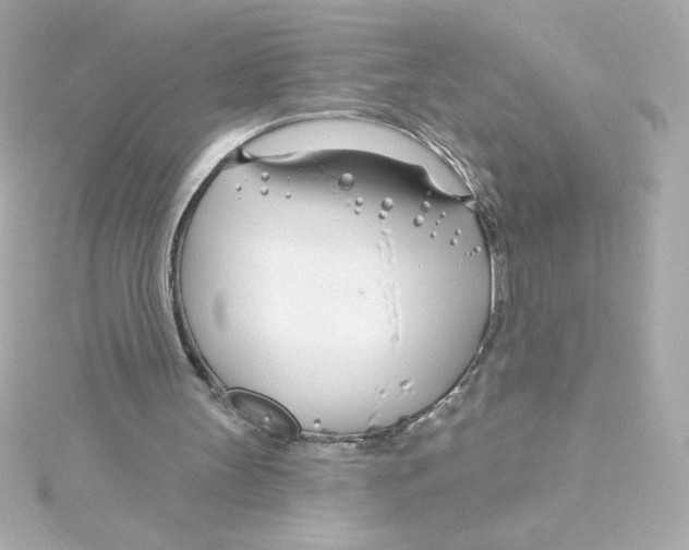 X0000115250147200911271912