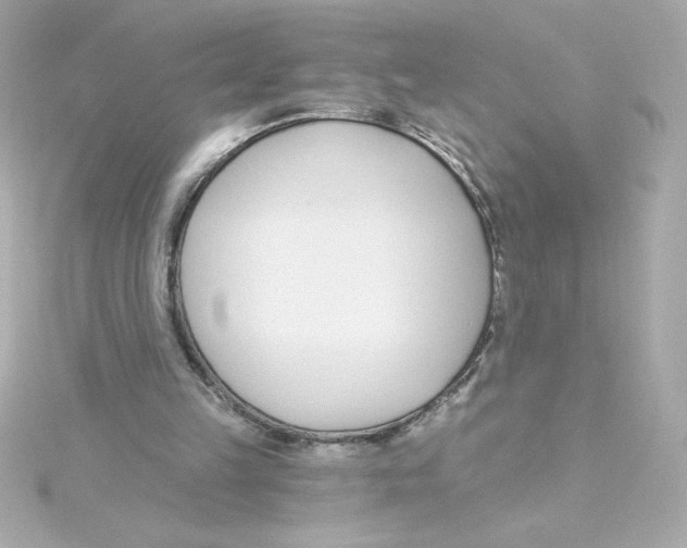 X0000115250149200911271912