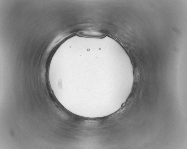 X0000115250150200911271912