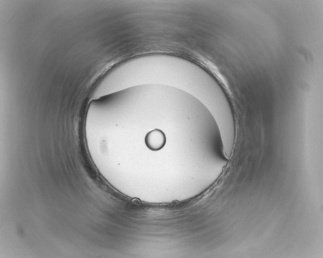 X0000115250154200911271912