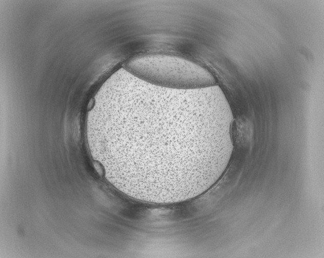 X0000115250158200911271912