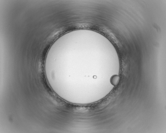 X0000115250161200911271912