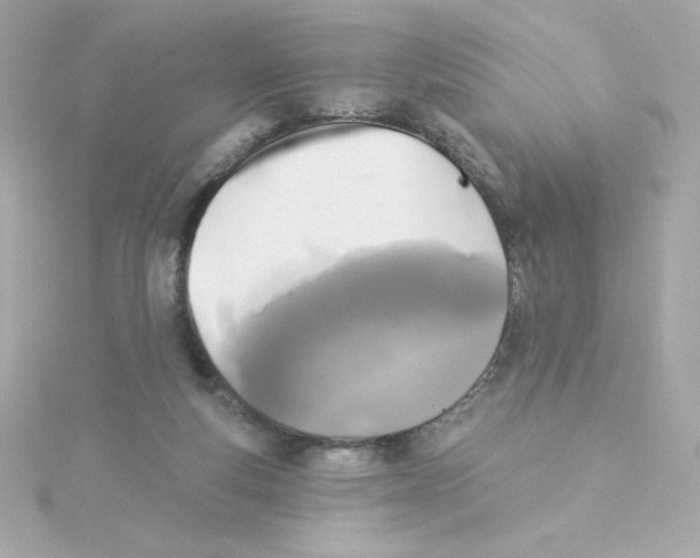 X0000115250163200911271912