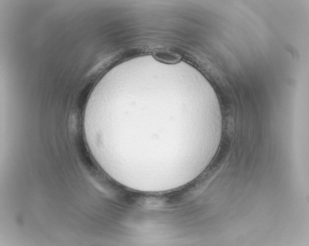 X0000115250165200911271912