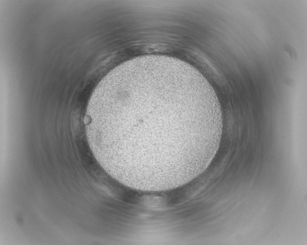 X0000115250169200911271912