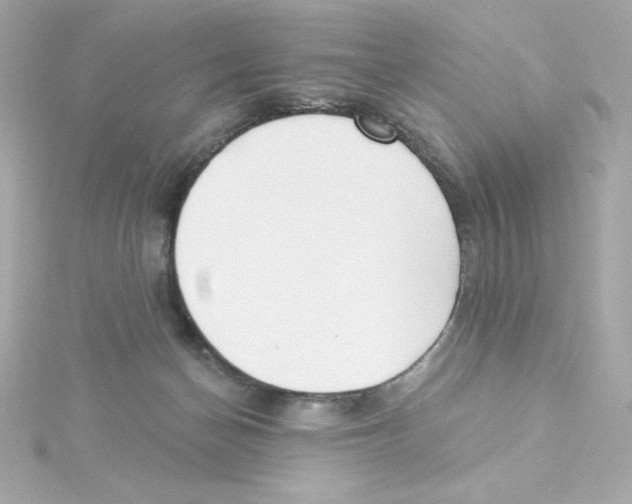 X0000115250174200911271912