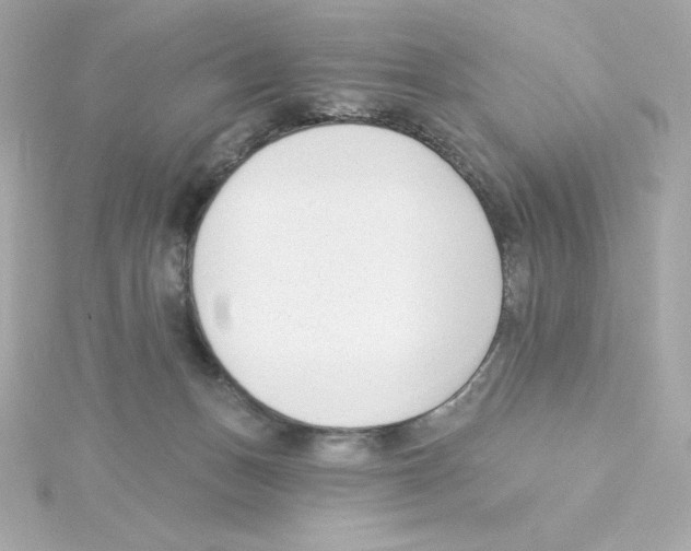 X0000115250175200911271912