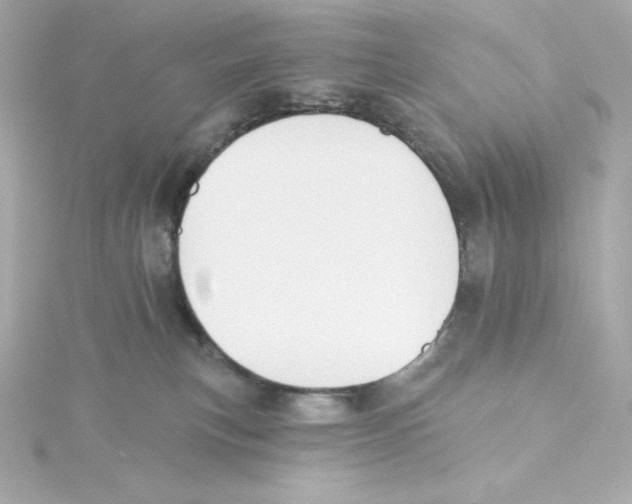 X0000115250183200911271912