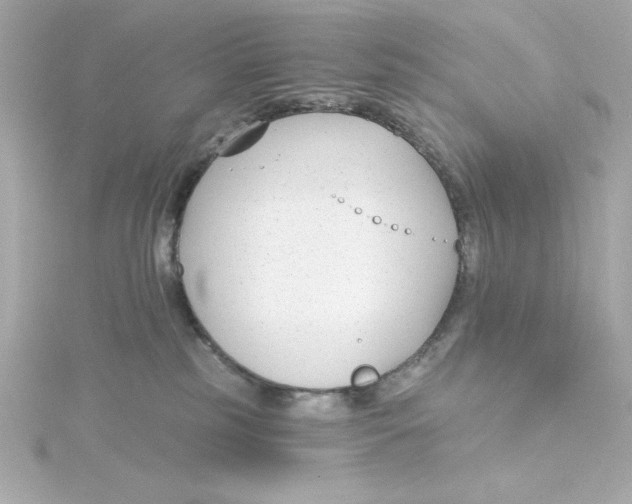 X0000115250185200911271913