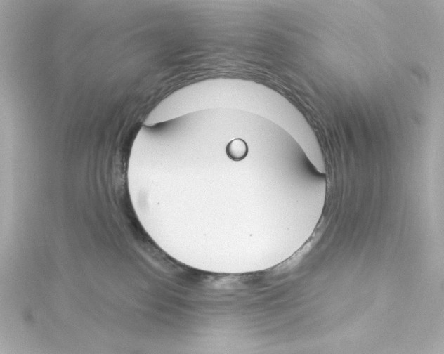 X0000115250186200911271913