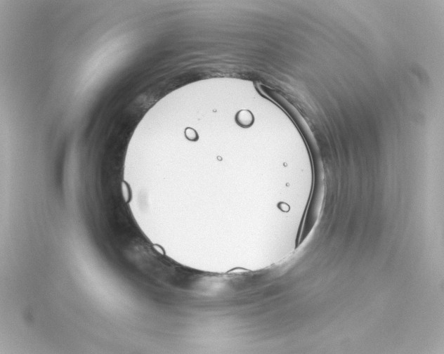 X0000115250190200911271913