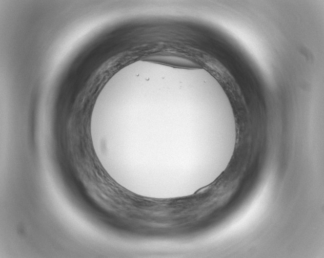 X0000115250191200911271913